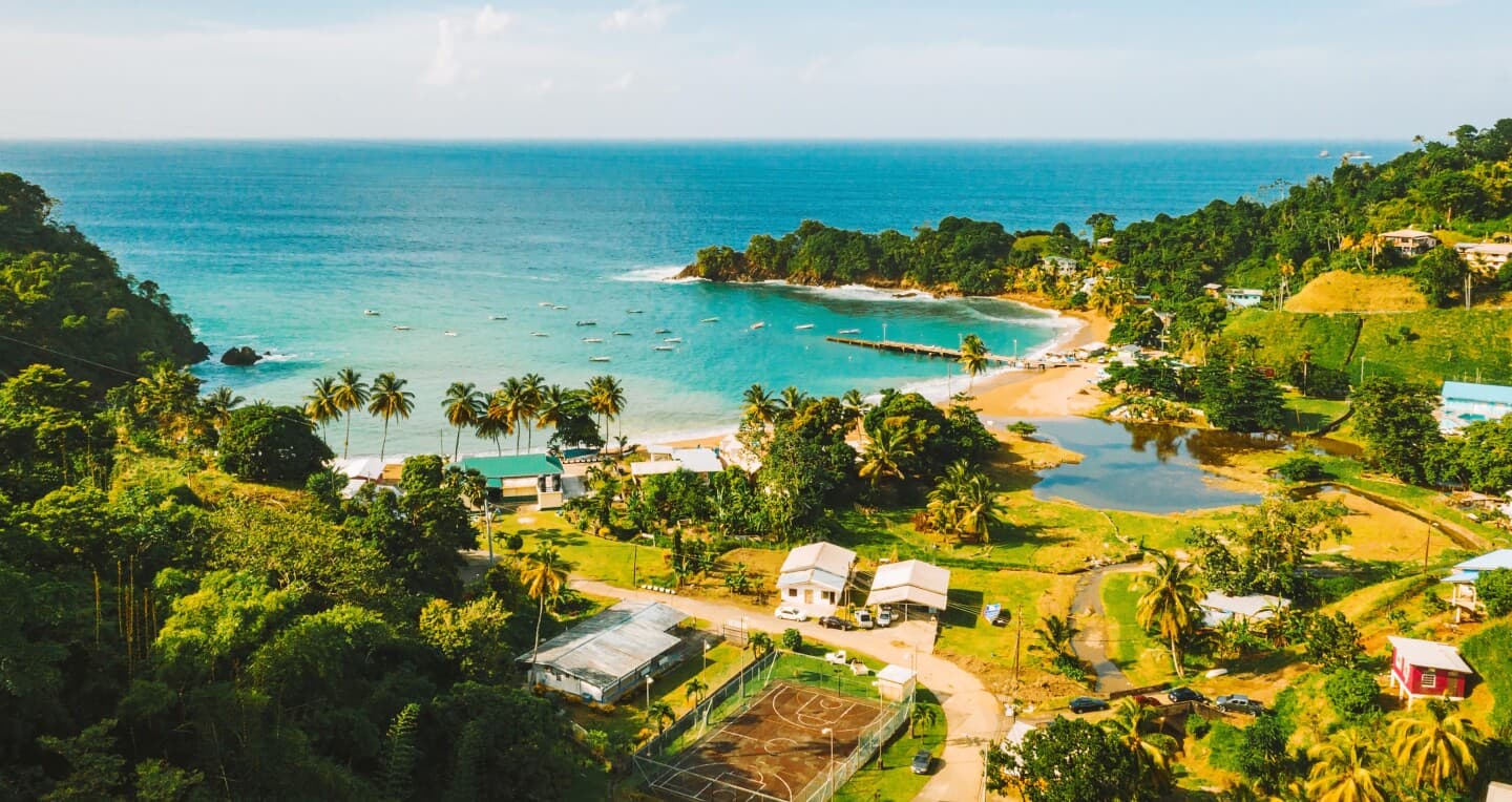 Tropical coast background